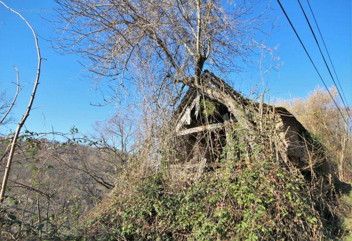 Commerce à RIEUPEYROUX