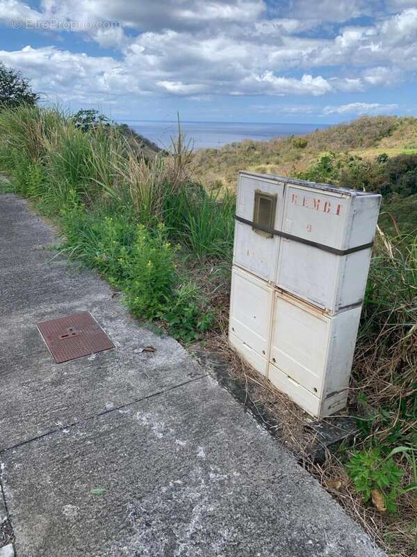 Photo 3 - Terrain à LE CARBET