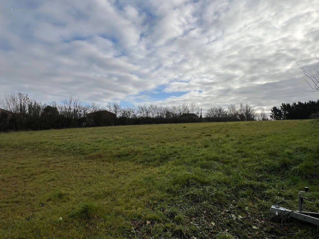 Terrain à SAINTE-HERMINE