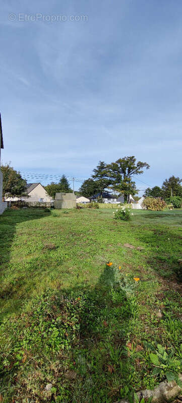 Terrain à VIGNEUX-DE-BRETAGNE
