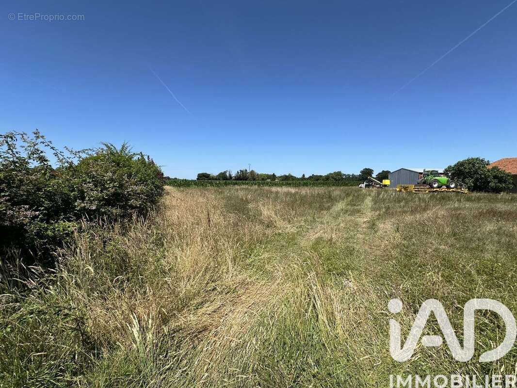 Terrain 566 m² à Saubrigues  - photo 5