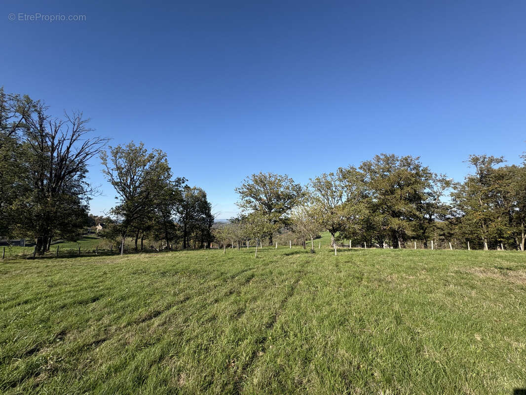 Terrain à BRIVE-LA-GAILLARDE
