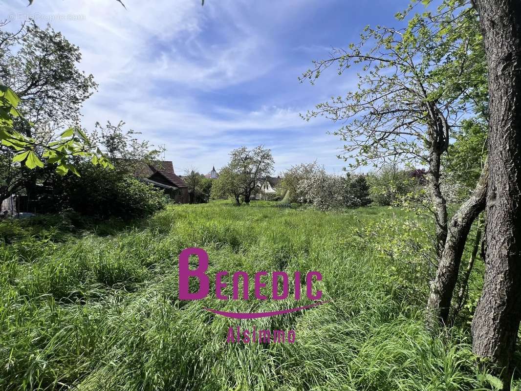 Terrain à ALTECKENDORF