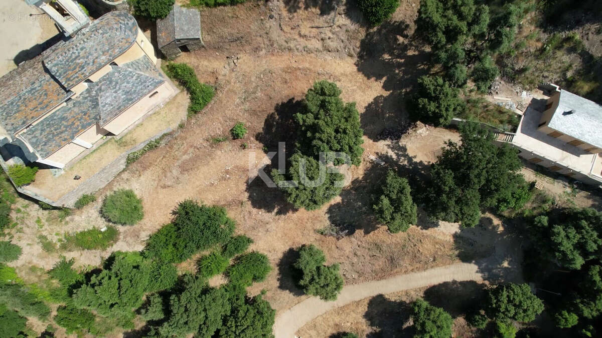Terrain Constructible-1550 m2-Poggio D Oletta (Nebbio)vue dégagée - photo 15