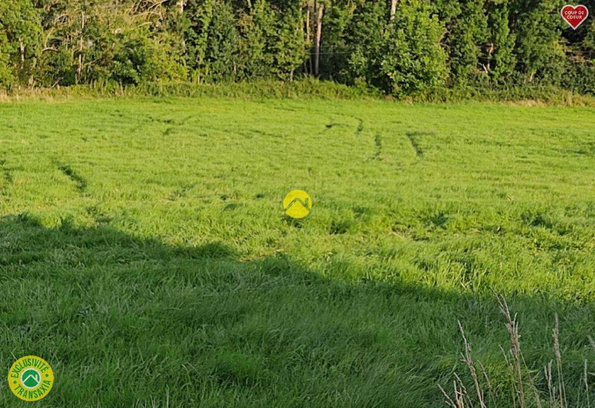 Terrain à SAINT-MENOUX