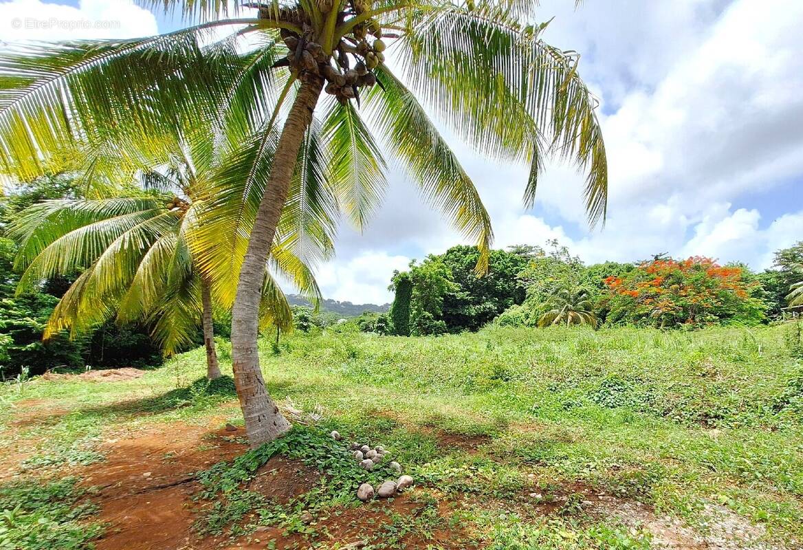 Terrain à LE ROBERT