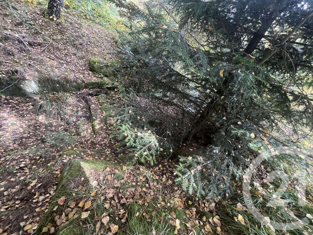 Terrain à BURDIGNES