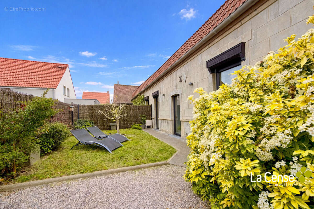 Maison à TEMPLEUVE