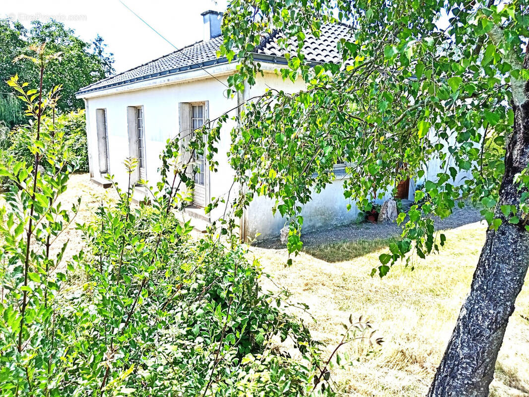 Maison à COUFFE
