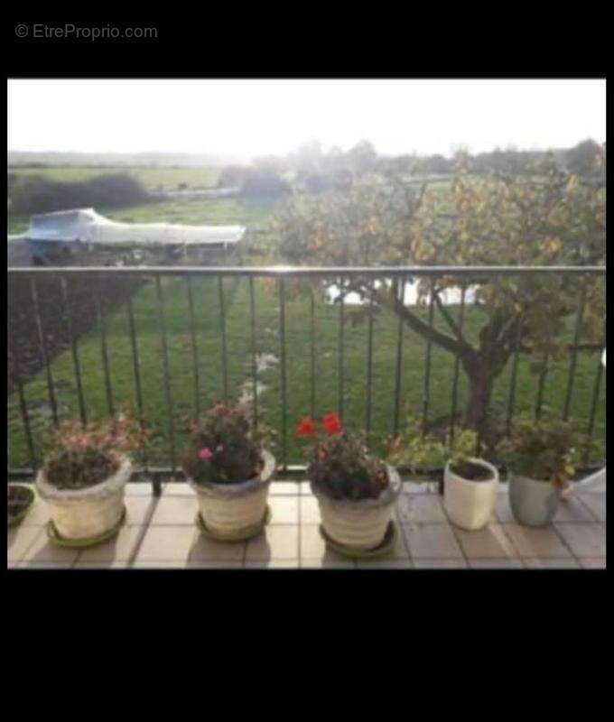 Maison à vendre 7 pièces LOUZE (52) - photo 4