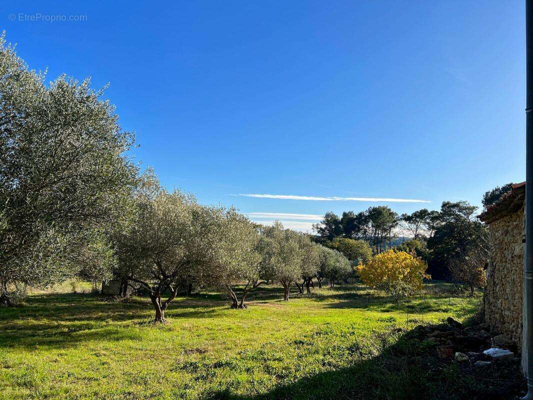 Mas sur magnifique terrain à deux pas de Uzès - photo 8