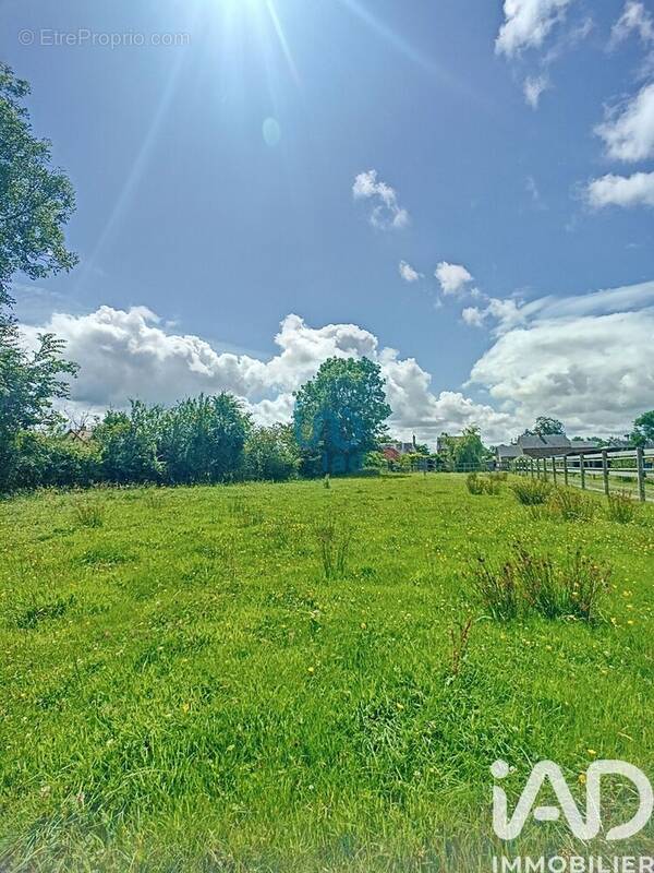 Photo 1 - Terrain à CERISY-LA-FORET