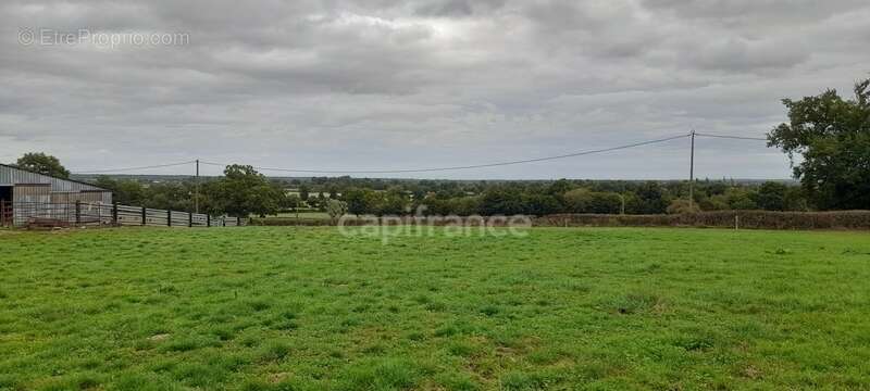 Maison à LURCY-LEVIS