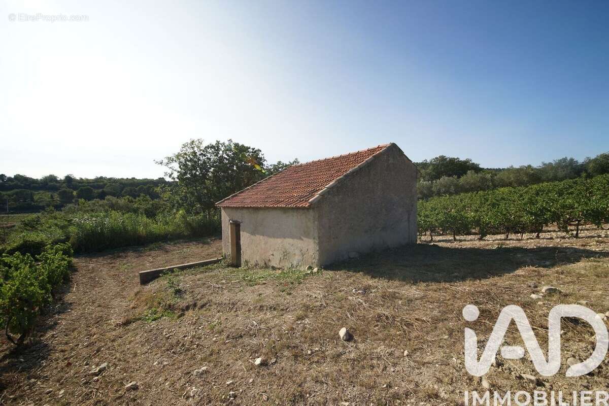 Terrain 7360 m² à Saint-Maurice-Sur-Eygues  - photo 3