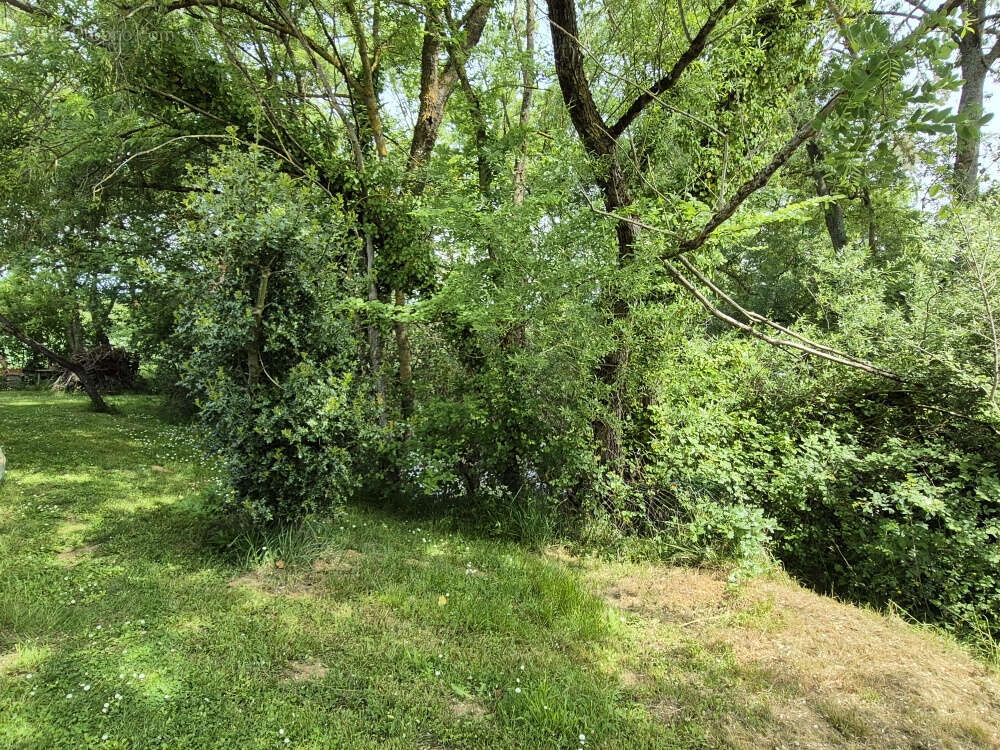 A Orbessan, villa  de plain-pied à vendre - photo 32