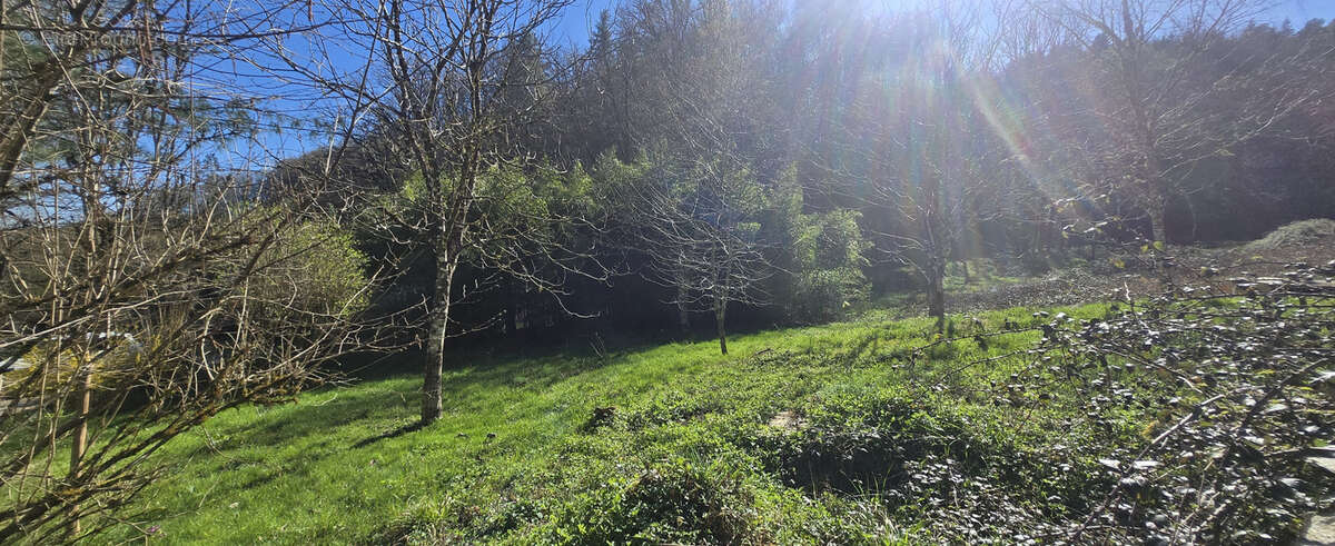 Maison à SAINT-BONNET-ELVERT