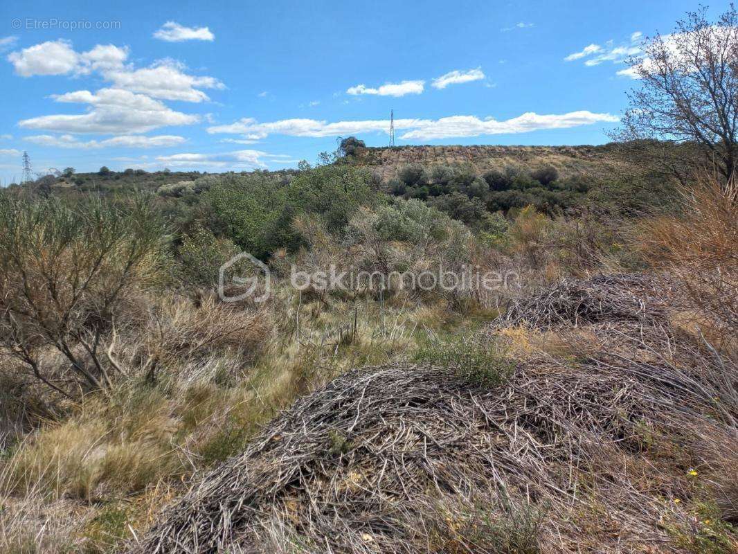 Terrain à PEZILLA-LA-RIVIERE