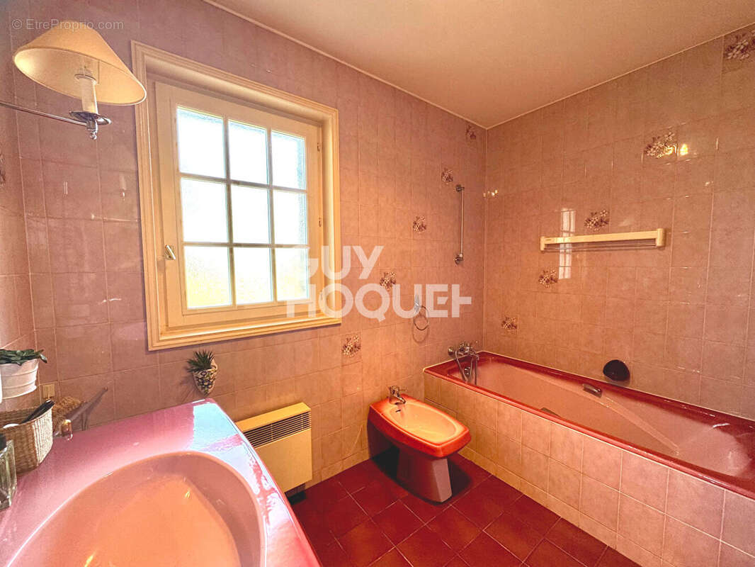 Maison à SANVIGNES-LES-MINES