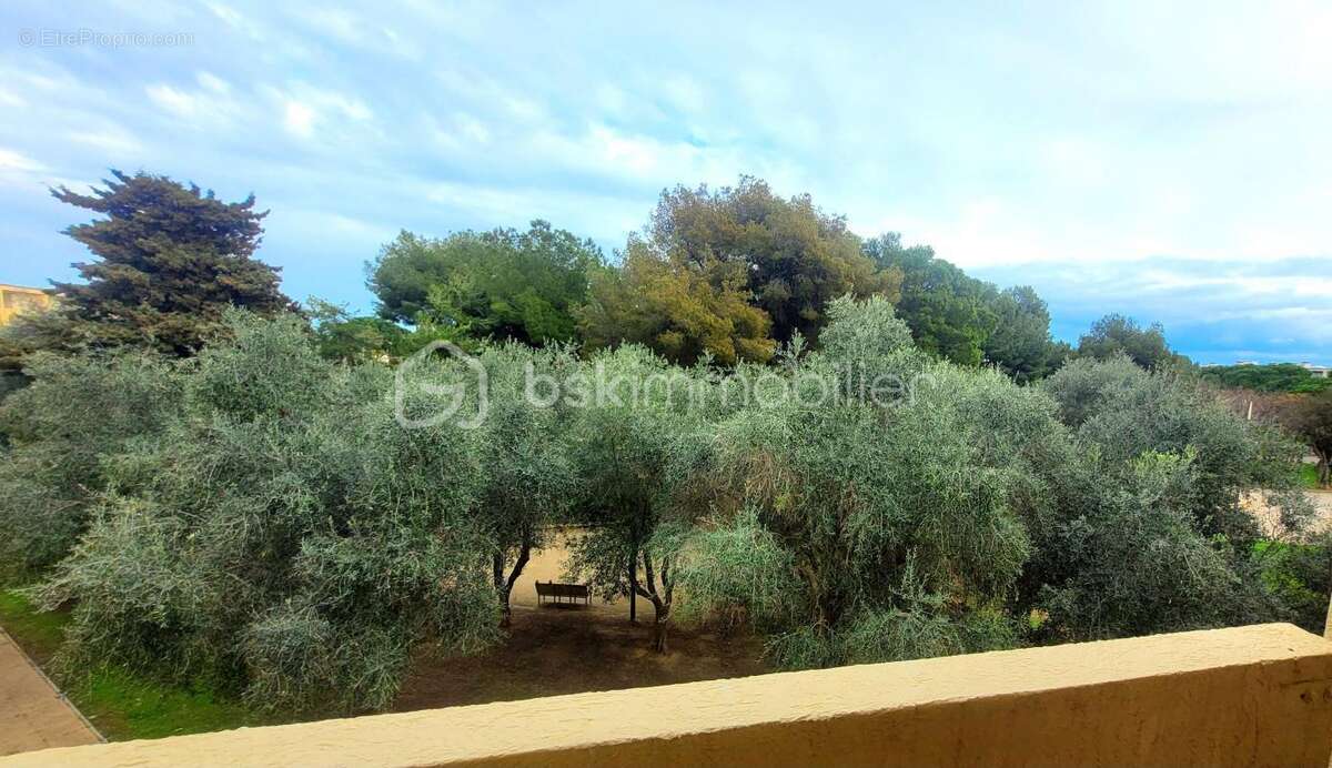 Appartement à BALARUC-LES-BAINS