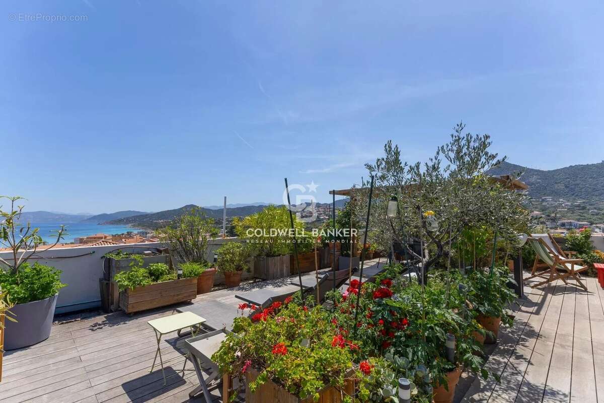 Appartement à L'ILE-ROUSSE