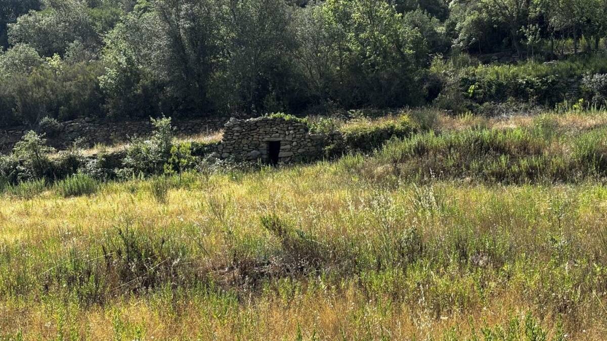 Terrain à LATOUR-DE-FRANCE