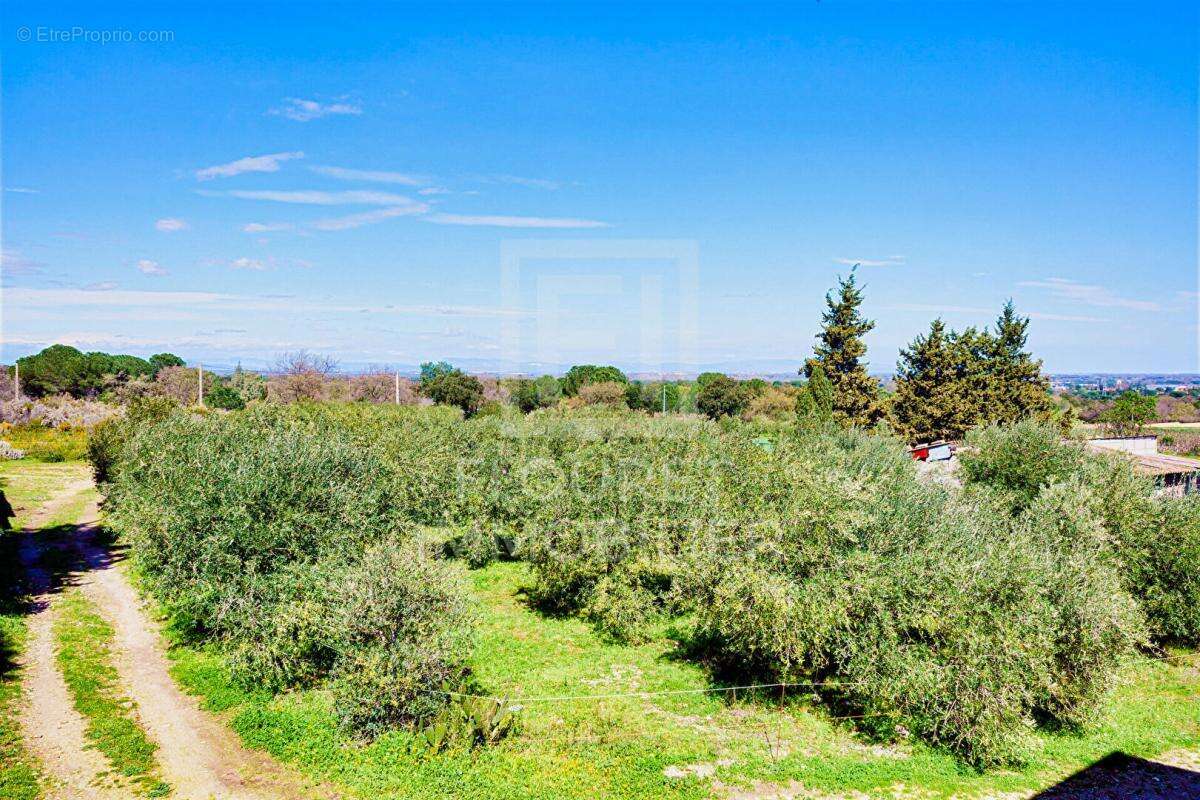 Maison à ARGELES-SUR-MER