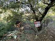 Terrain à ARGELES-SUR-MER