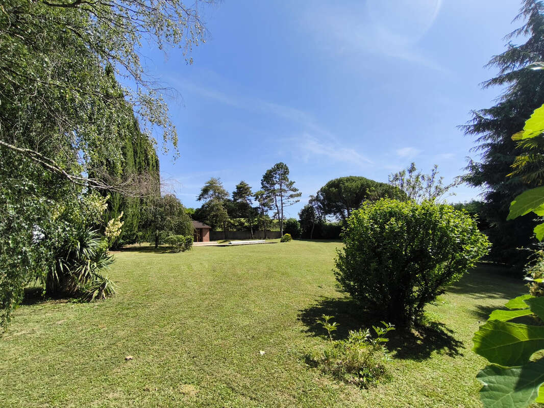 Drome des collines. bien d'exception. restaure en totalite sur 220m2. parc arbore 5000m2. piscine . dependance - photo 18