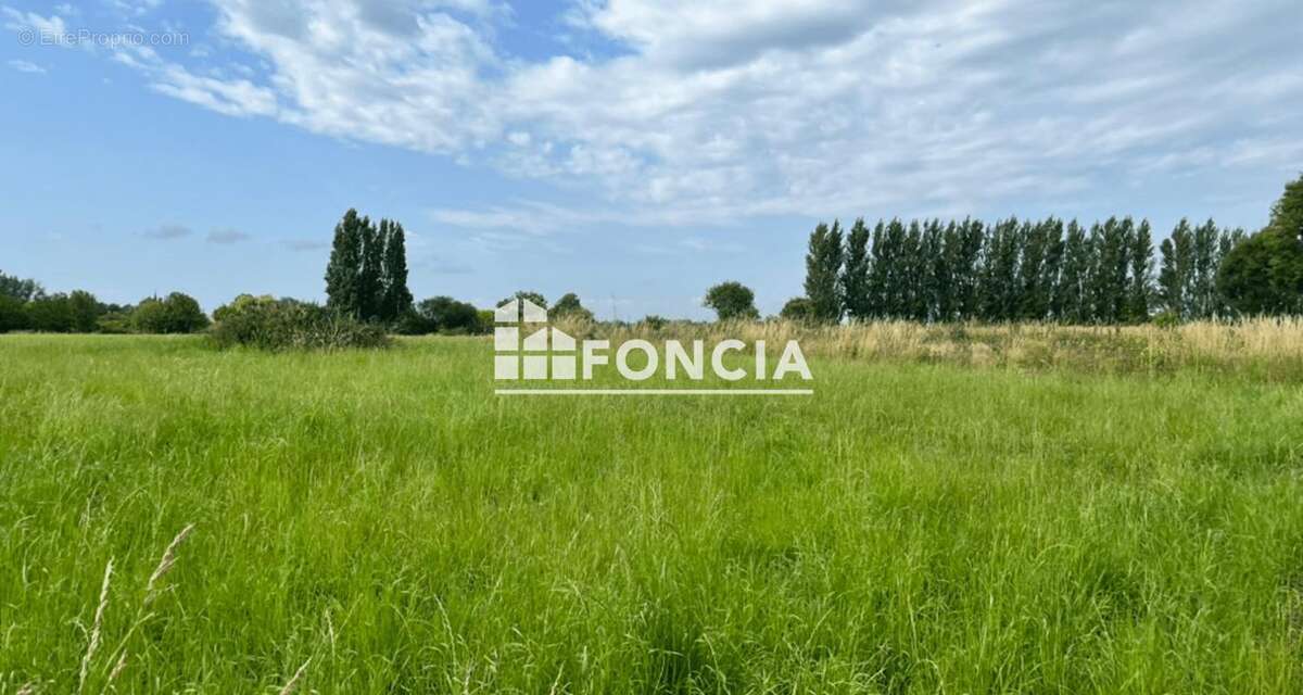 Terrain à LE VIVIER-SUR-MER