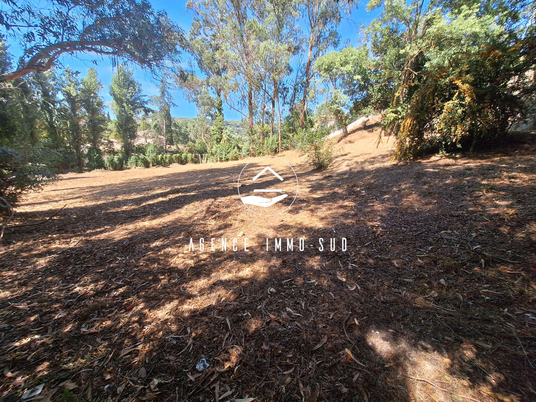 Terrain à SAINT-PAUL