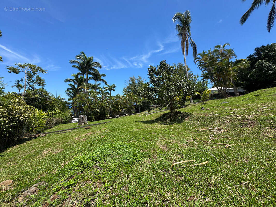 Terrain à SAINT-DENIS