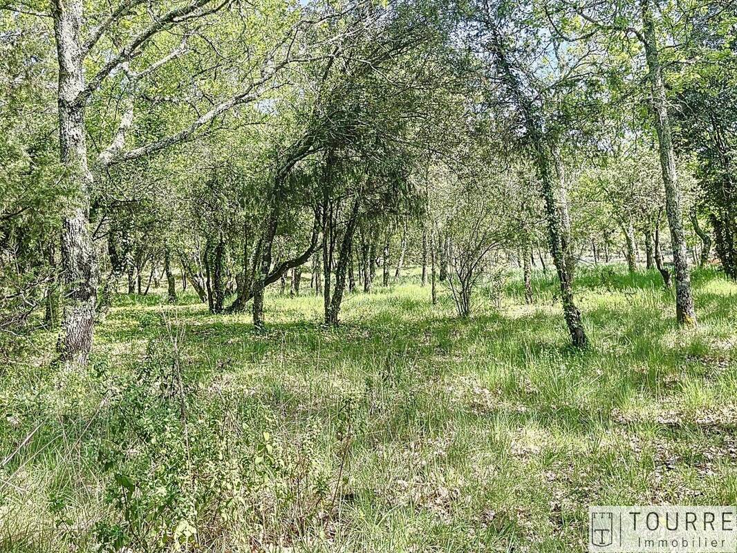 Terrain à LAGORCE
