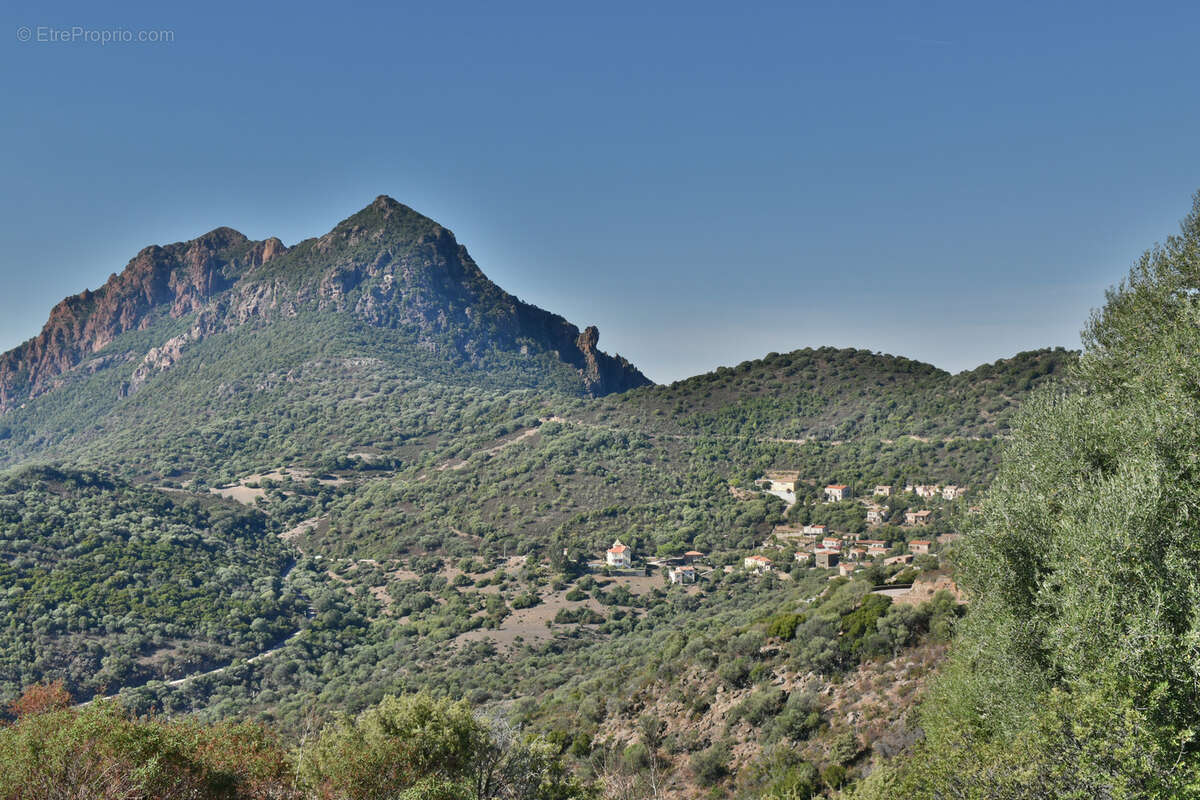 Dpt Corse (20) OSANI - Golfe de Porto, à vendre bâtiment de 920m2 à 3KM de la plage, grand terrain avec parking - photo 13