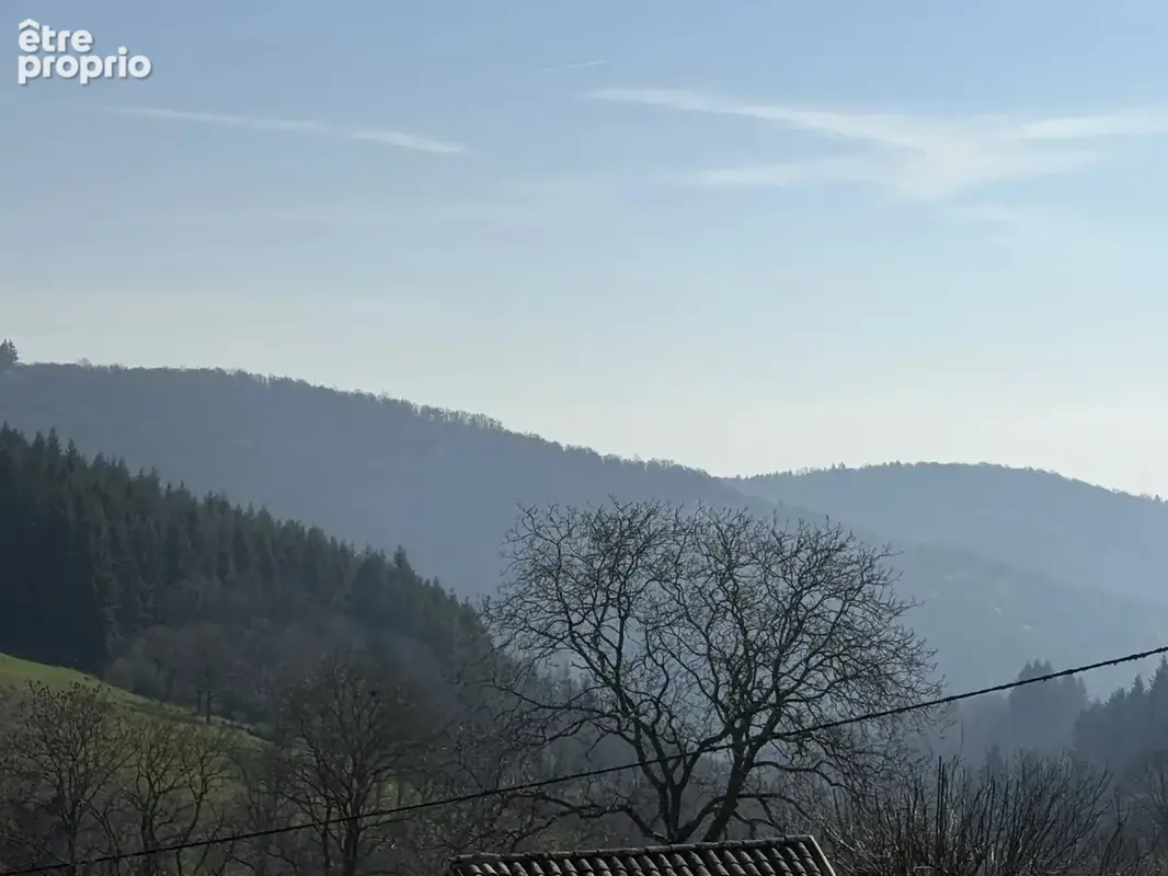 25 min macon - vauxrenard - beaujolais vert -  propriete de campagne - photo 9