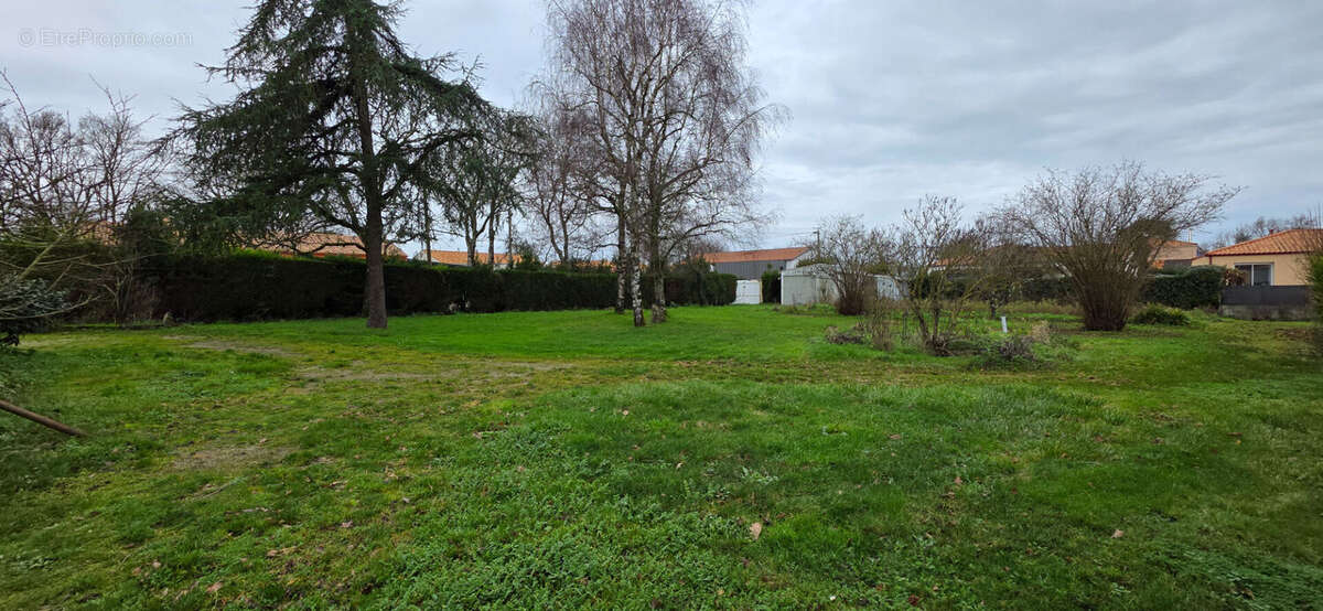 Terrain à SAINTE-PAZANNE