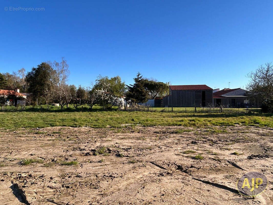Terrain à TALMONT-SAINT-HILAIRE