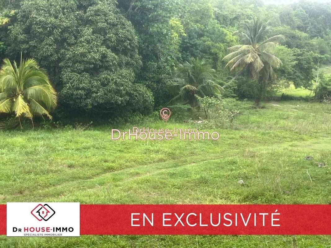 Terrain à LE GOSIER