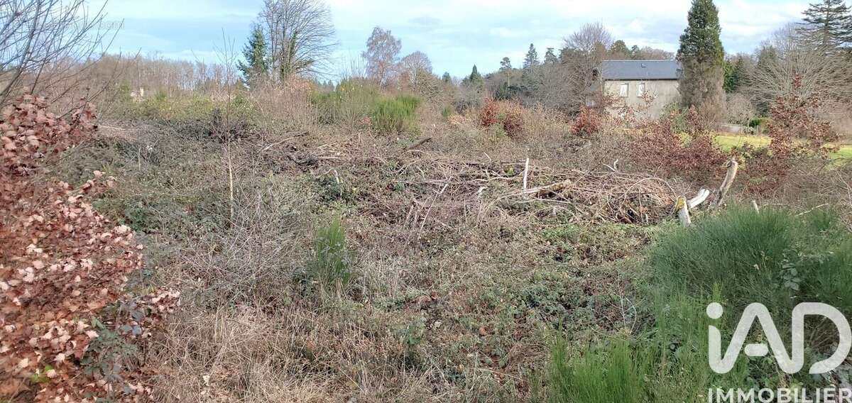 Photo 4 - Terrain à CHIRAC-BELLEVUE