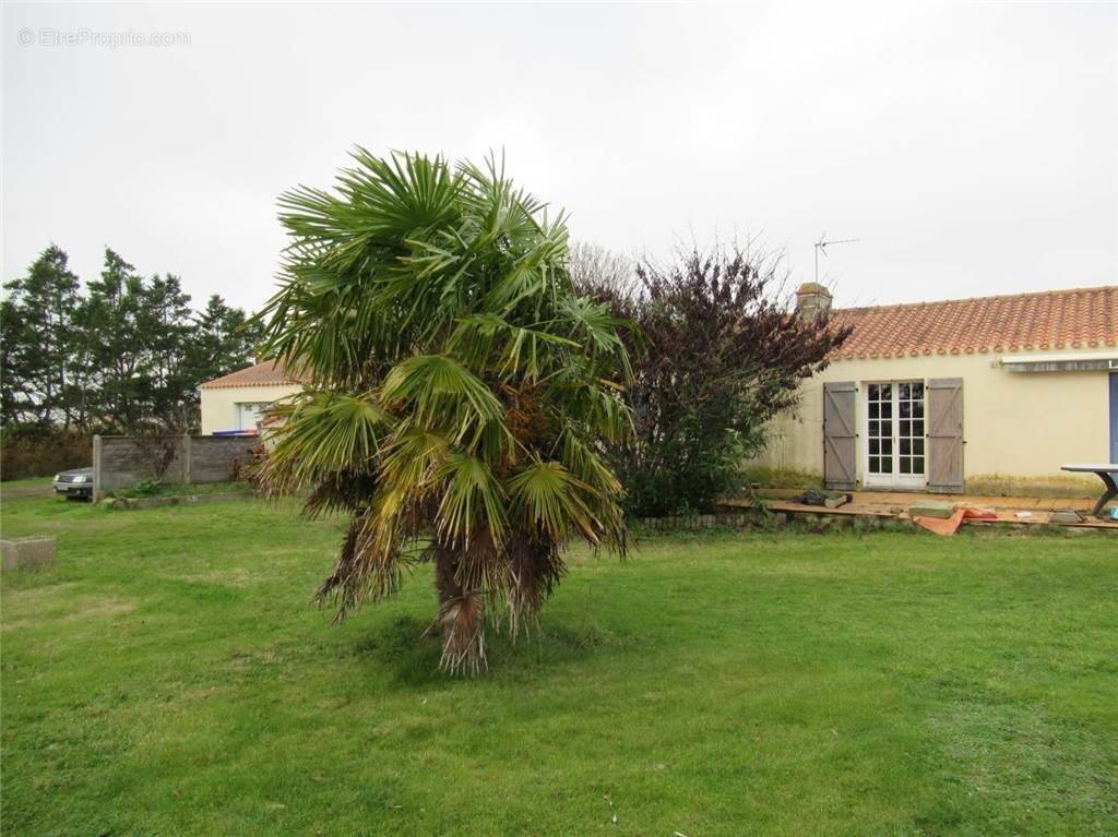 IMG_0175 - Maison à BOUIN