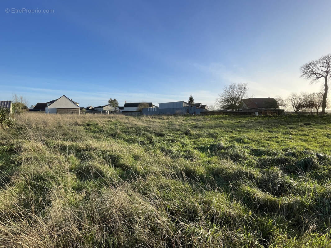 Terrain à TREVIERES