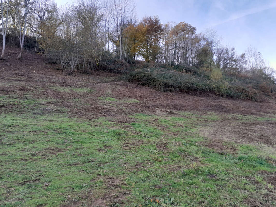 Terrain à POUEYFERRE