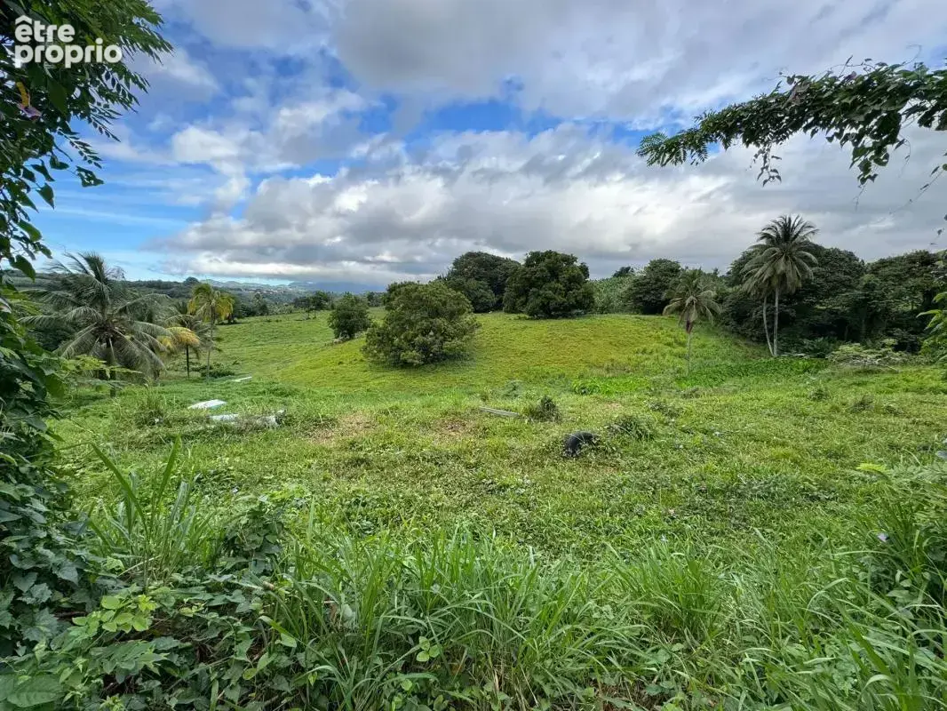 Terrain à bâtir 4026 m2 Quartier Plaisance - Le Lamentin - photo 2