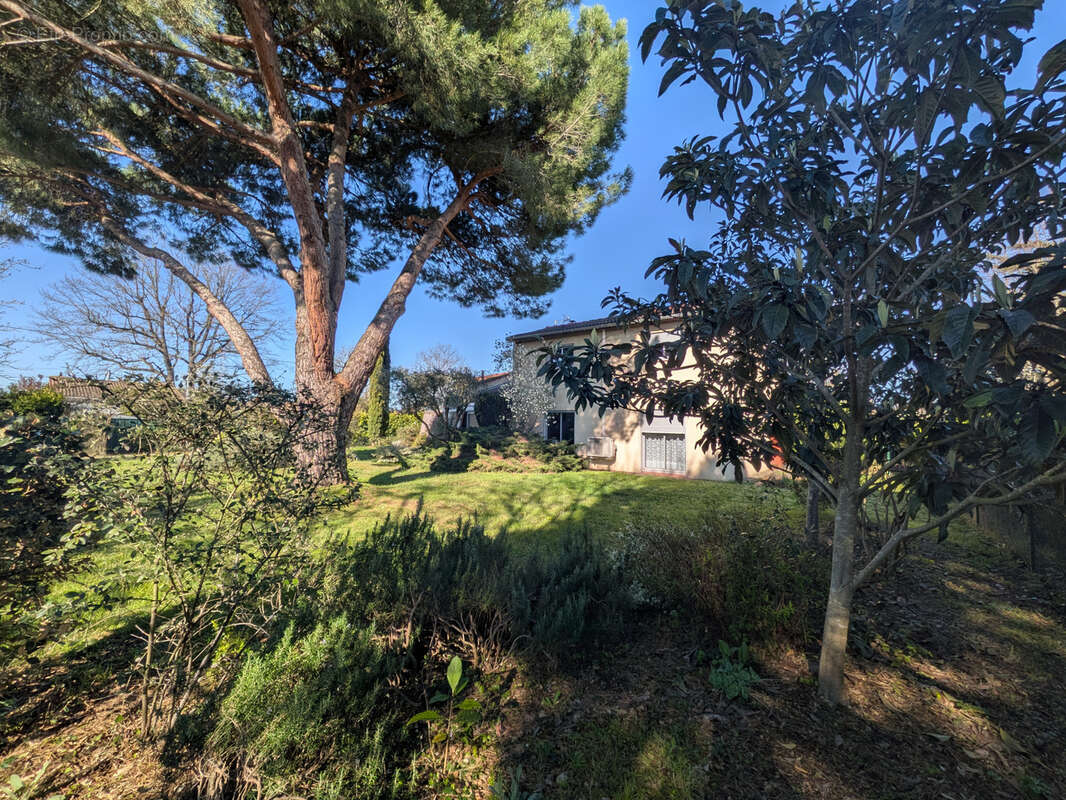 Maison à VILLENEUVE-TOLOSANE