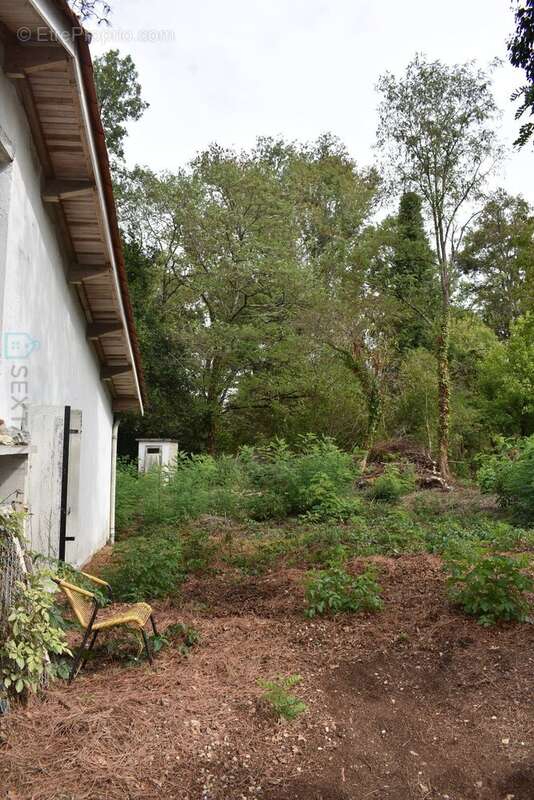 Maison à MOULIN-NEUF