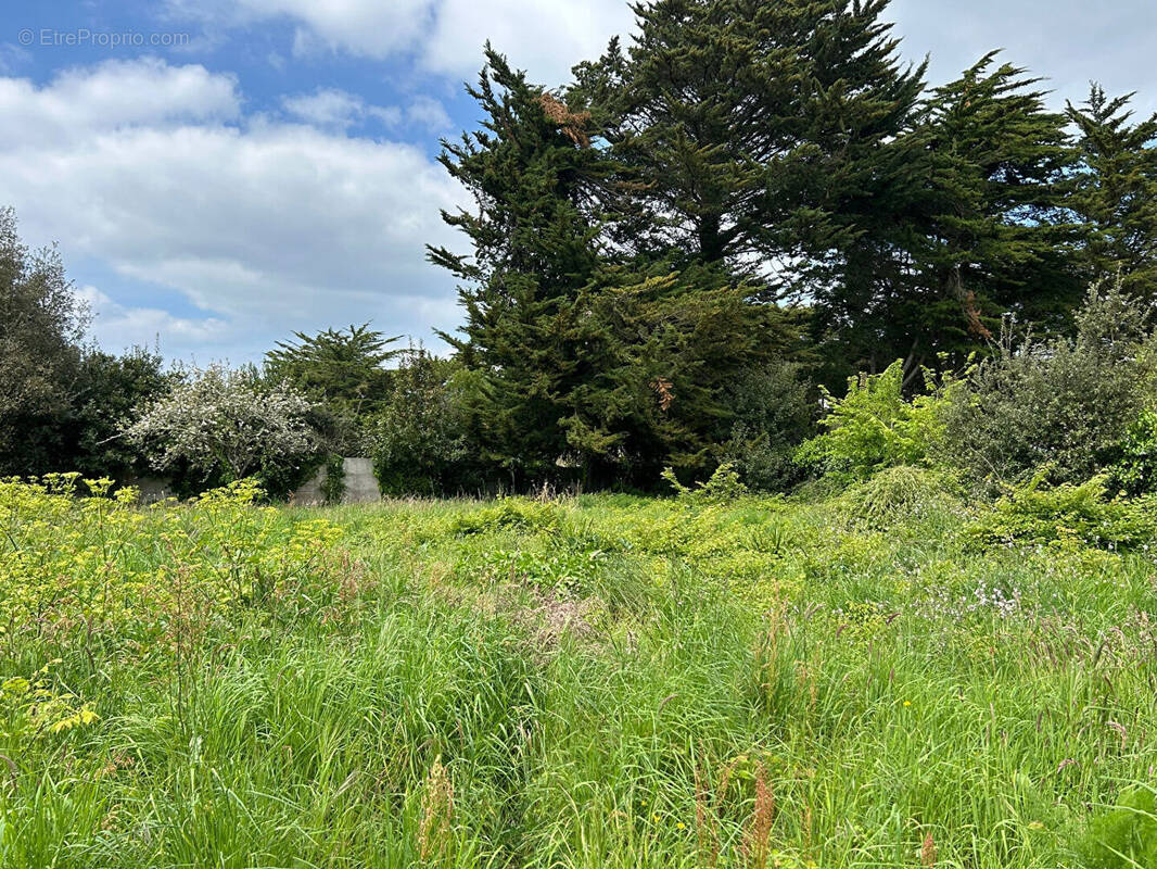 Terrain à LE POULIGUEN