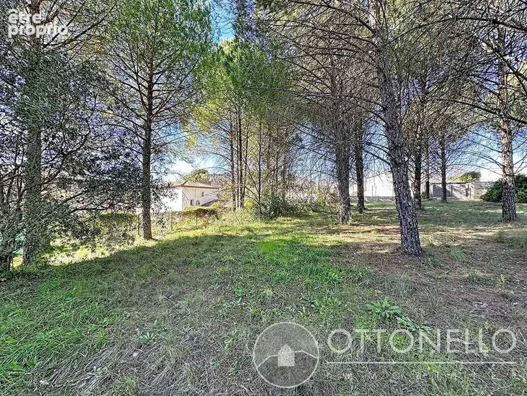 Terrain constructible viabilisé Roquebrune-Sur-Argens 615 m2 - photo 5