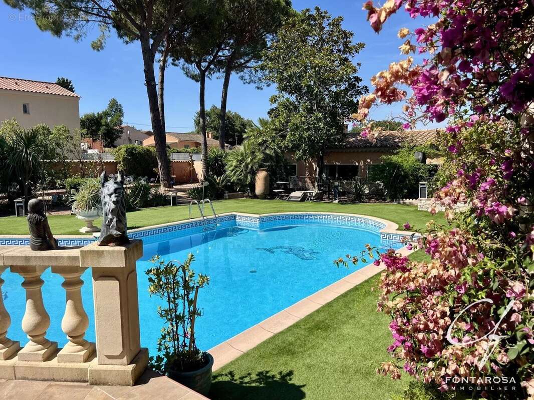 Maison à PUGET-SUR-ARGENS