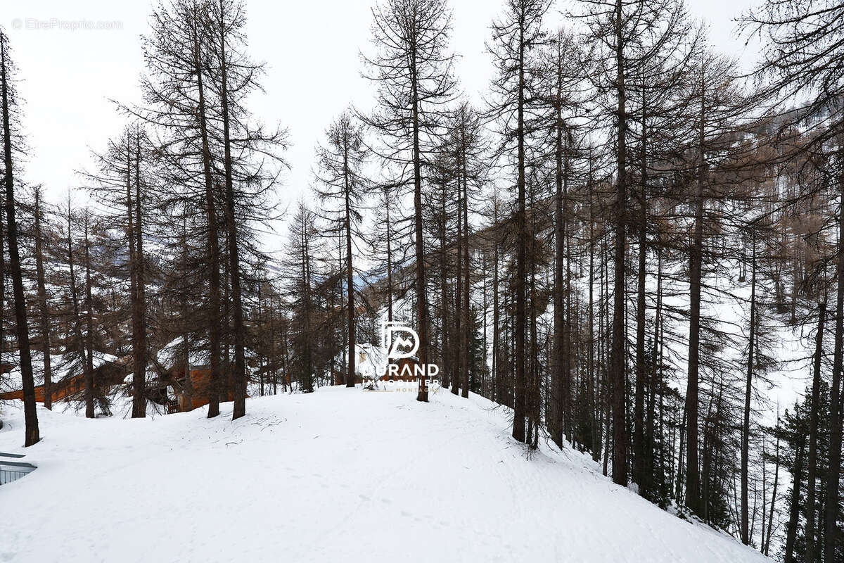 Appartement à VARS