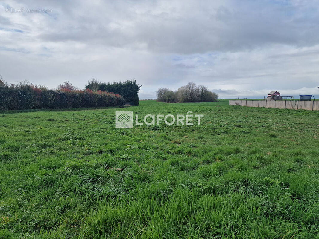 Terrain à SACQUENVILLE