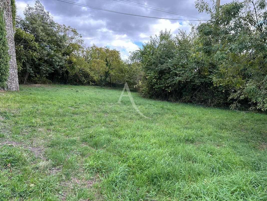 Terrain à LA POMMERAYE